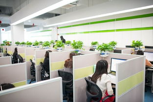 深圳呼叫中心外包服務 專業客服團隊、自建大型職場與定制軟件開發的一站式解決方案