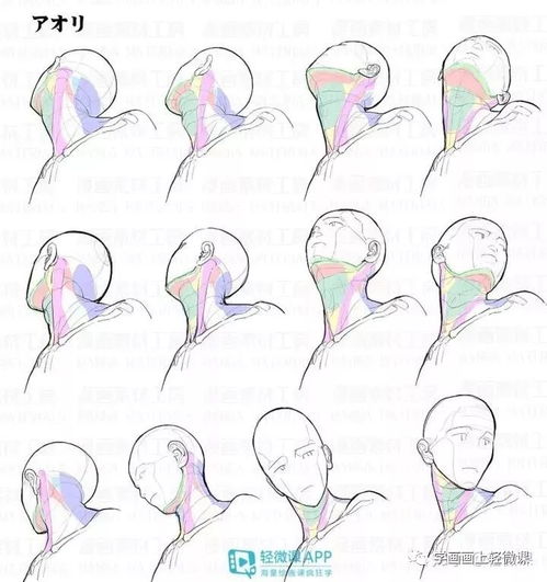 不會(huì)畫(huà)頭像？這100張高清素材趕緊收藏，平面設(shè)計(jì)必備！